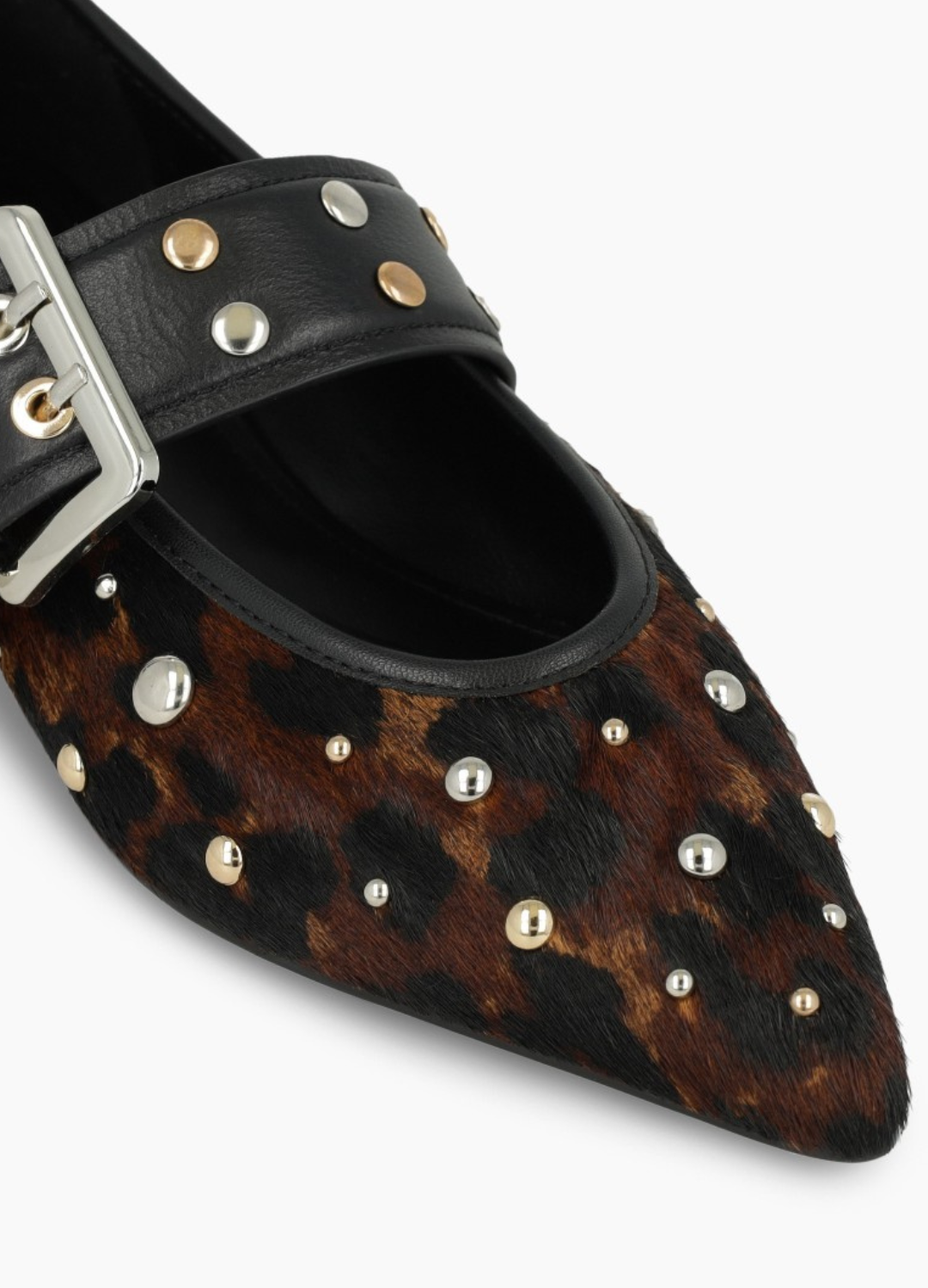 Lodi - Leo Strap Stud Ballerina Shoe