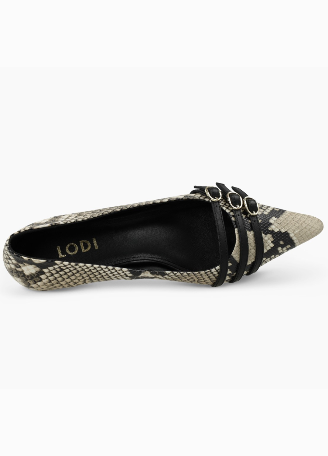 Lodi - Roma Snakeskin Court Shoe