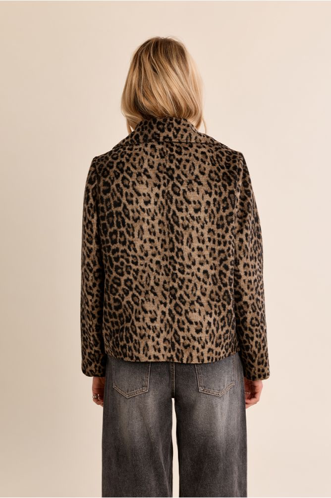 Molly Bracken - Leopard Print Coat